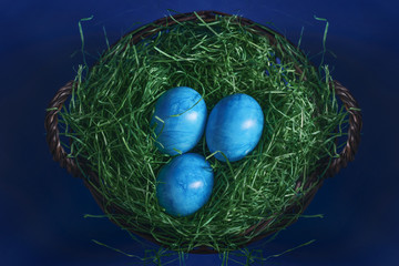 Painted Easter eggs blue on green grass in a wicker basket.
