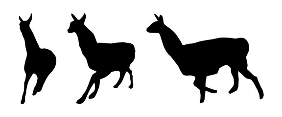 Set of lama silhouettes
