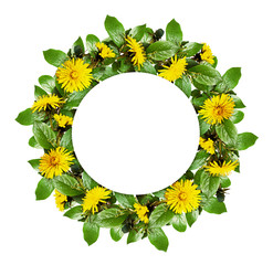 Spring round frame with green leaves and  dandelion flowers