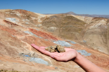The Cerro Rico hillside and ore silver on the hand in the background of the mining conglomerate