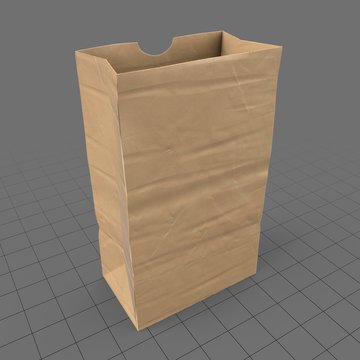 Open paper grocery bag (large)