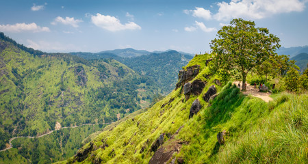 View from Little Adam's Peak. Mountain landscape in Sri Lanka,Little Adam's Peak Ella, Sri Lanka - obrazy, fototapety, plakaty