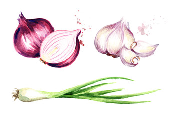 Onion, green chive and garlic set. Watercolor hand drawn illustration, isolated on white background