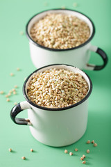 raw green buckwheat healthy ingredient