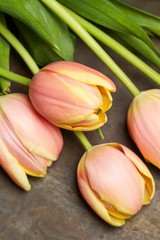 Tulipanes rosados vista desde arriba