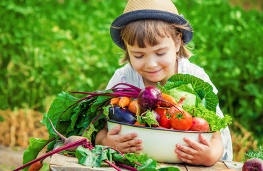 Child and vegetables on the farm. Selective focus.  