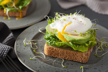 breakfast toast with avocado, poached egg and alfalfa sprouts