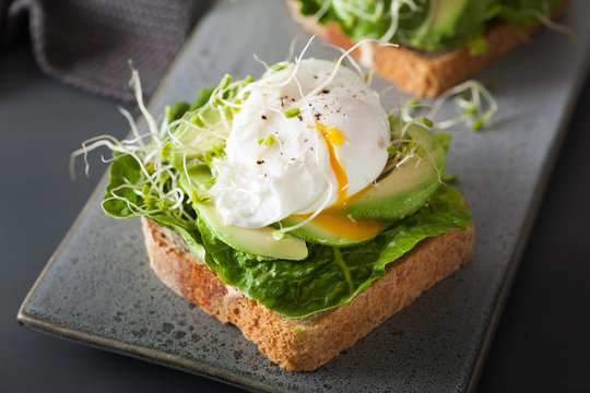 breakfast toast with avocado, poached egg and alfalfa sprouts