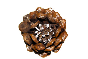 cone isolated on white background