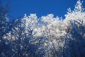 Generale Inverno