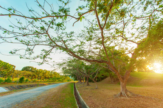 beautiful morning light in public park with green grass, relax place 