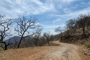 Byroad through the woods in dry season