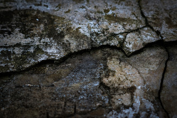 grunge concrete texture