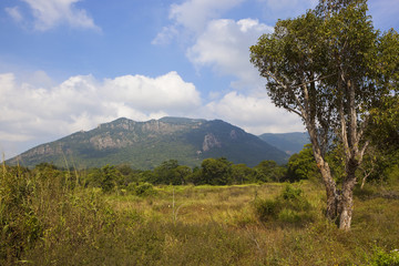 sri lankan landscape at ritigala