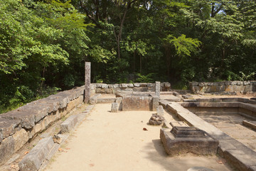 sri lankan forest monastry ruins