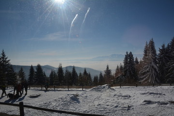 Mountain Gorce in winter