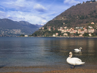 landscapes in bright colors with the arrival of spring on the lake como