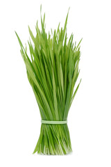 Grass