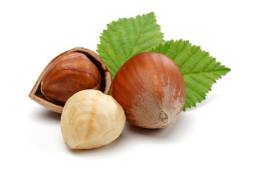 Hazelnut