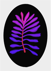 Ultraviolet embroidery seaweed. Isolated.