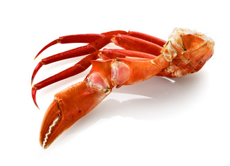 red king crab legs isolated