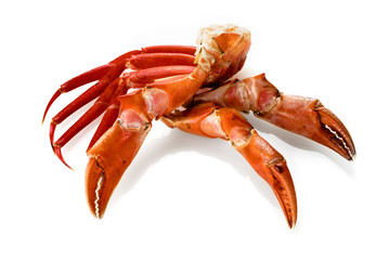 red king crab legs isolated