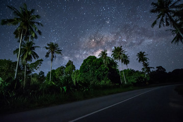Milky way rise above coconut trees. soft focus and noise due to long expose and high iso.