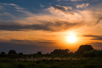 Fototapeta premium Beautiful sunset.