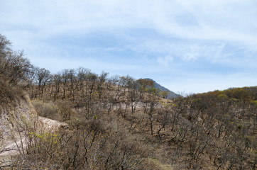 View to the hills covered with dry forest and blue cloudy sky