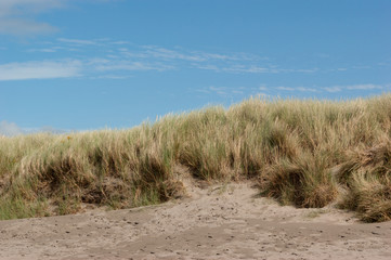 Grassy Sand Dune with Blue Sky