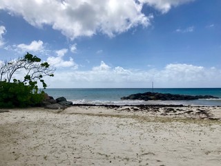 Idyllic and beautiful beach in Barbados (Caribbean island): Nobody, white sand, turquoise water,...