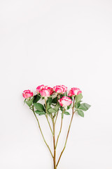 Pink rose flowers bouquet on white background. Flat lay, top view. Minimal spring floral concept.