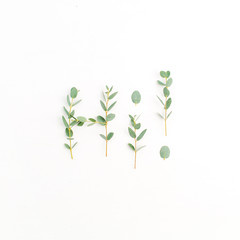 Word Hi made of eucalyptus branch on white background. Flat lay, top view.