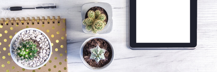 Panoramic top view on a wooden desk with a tablet, cactuses and spiral notebook with golden dots