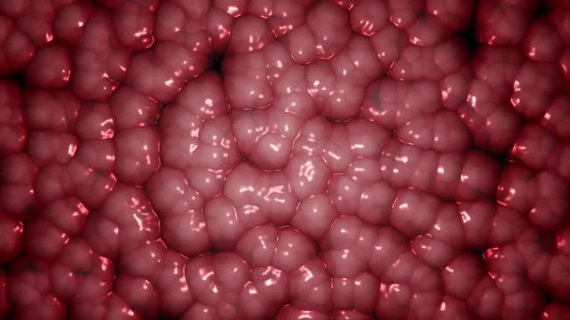 ORGANIC CELLS LOOP 4K