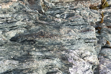 Ancient stone surface with moss and lichen