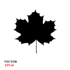 maple leaf. vector icon