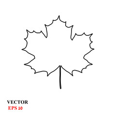 maple leaf. vector icon