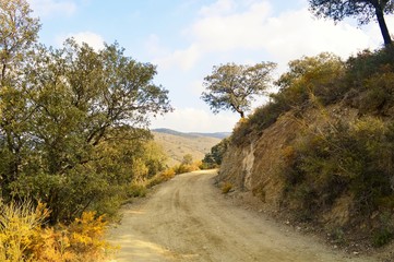 A country road from the Andalusia region of Southern Spain.