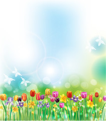 Obraz na płótnie Canvas Background with multicolor spring flowers
