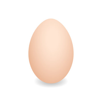 Realistic egg. Brown chicken egg. Vector 3D egg with shadows on white background. Easter egg template, food concept. AI10