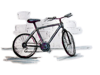 Fototapeta na wymiar Bicycle. Line drawing colored 