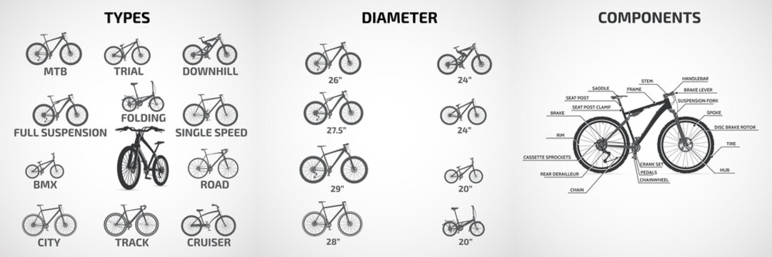 Vector bicycles of various types, wheel diameters, for sports and recreation, scheme  a modern bike.
