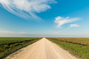Fototapeta na wymiar Blue Skies and a Rural Country Road 
