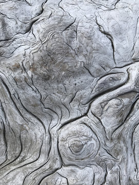 Close up of patterns in driftwood