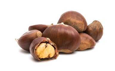 chestnut edible isolated