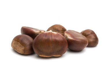 chestnut edible isolated