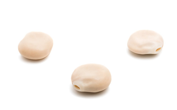 beans lupine isolated