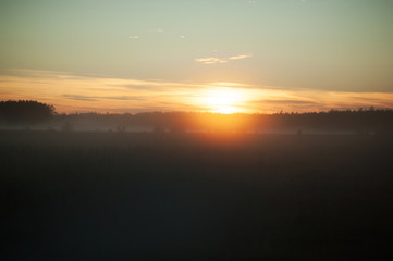 Landscape beautiful warm orange sunset in a foggy field meadow with bushes and trees in rural in evening. Wonderful picture of natural world and environment, calm, relaxation concept