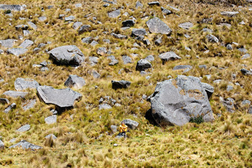 Tourist in the Peruvian high Andes on the trekking Santa Cruz on the Cordillera Blanca mountains, Peru, South America